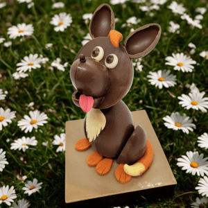 🦊 Roxy le Renardeau