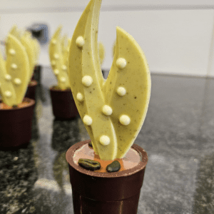 ​🌱 Le Brin de Pistache